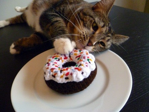 cat-donuts1