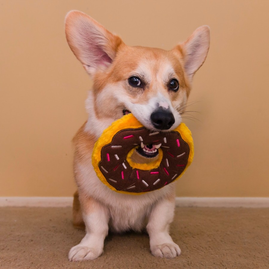dog donuts dimanche