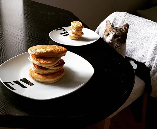 funny-girl-cat-breakfast-table