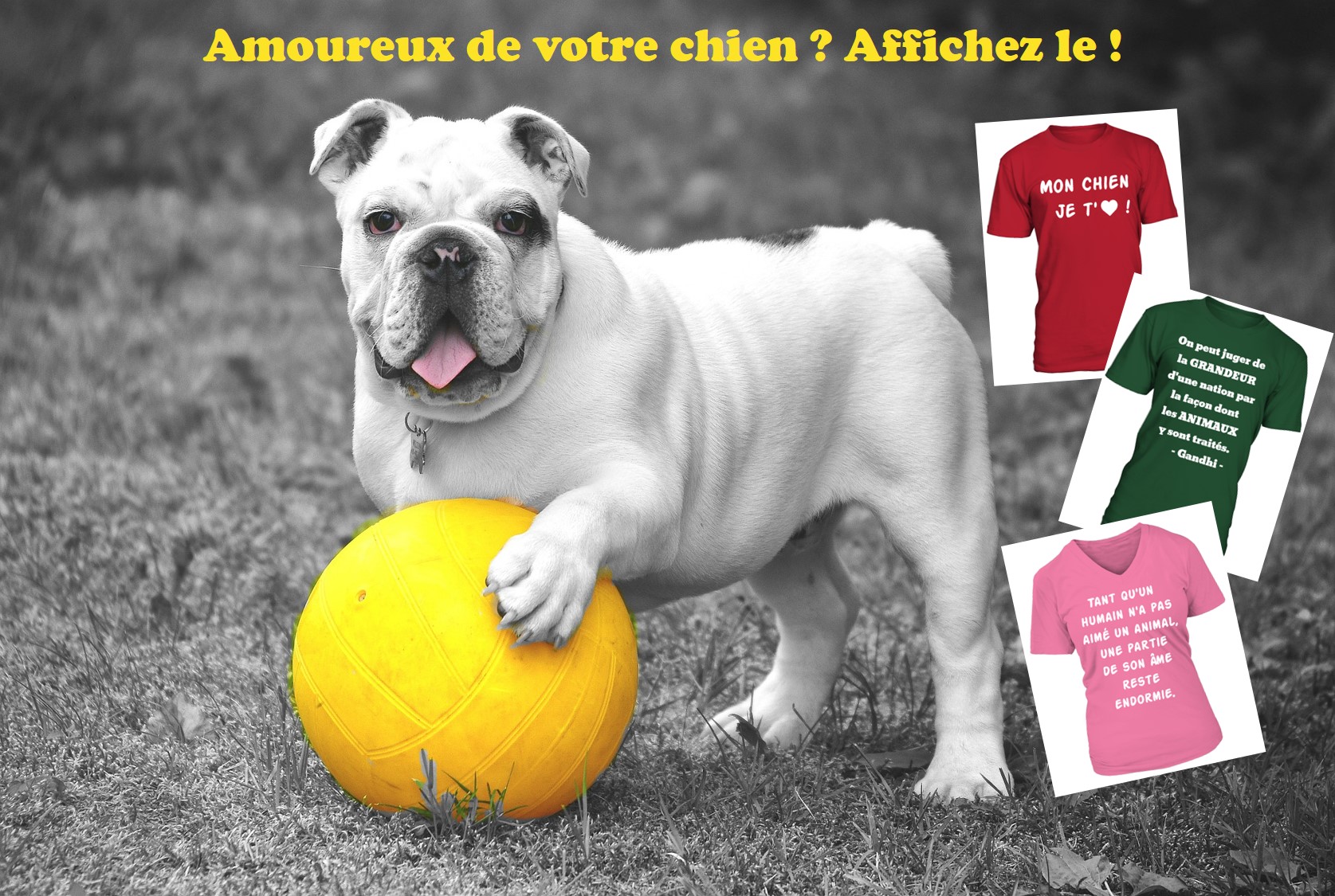 campagne3