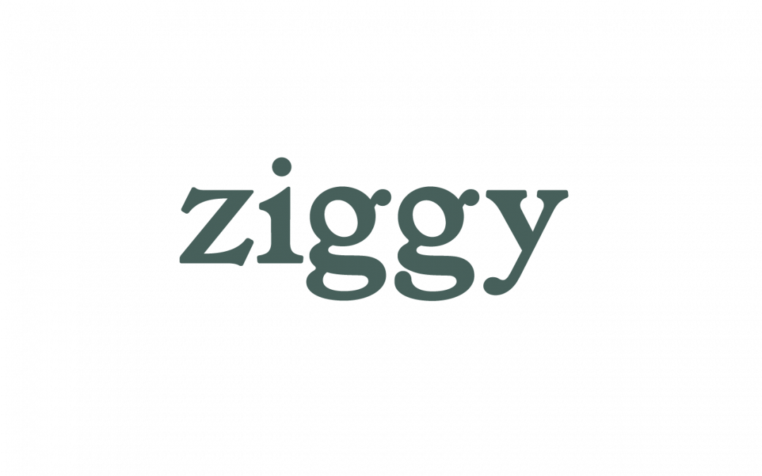 Ziggy, la marque de pâtées pour chats saine, engagée et transparente !
