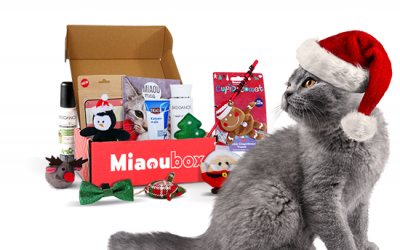 La Miaoubox Collector de Noël est disponible !
