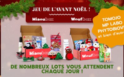 Jeu-concours de l’Avant Noël par Woufbox et Miaoubox
