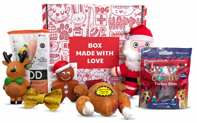 Unboxing Woufbox Décembre 2021 : La Box Collector de Noël !