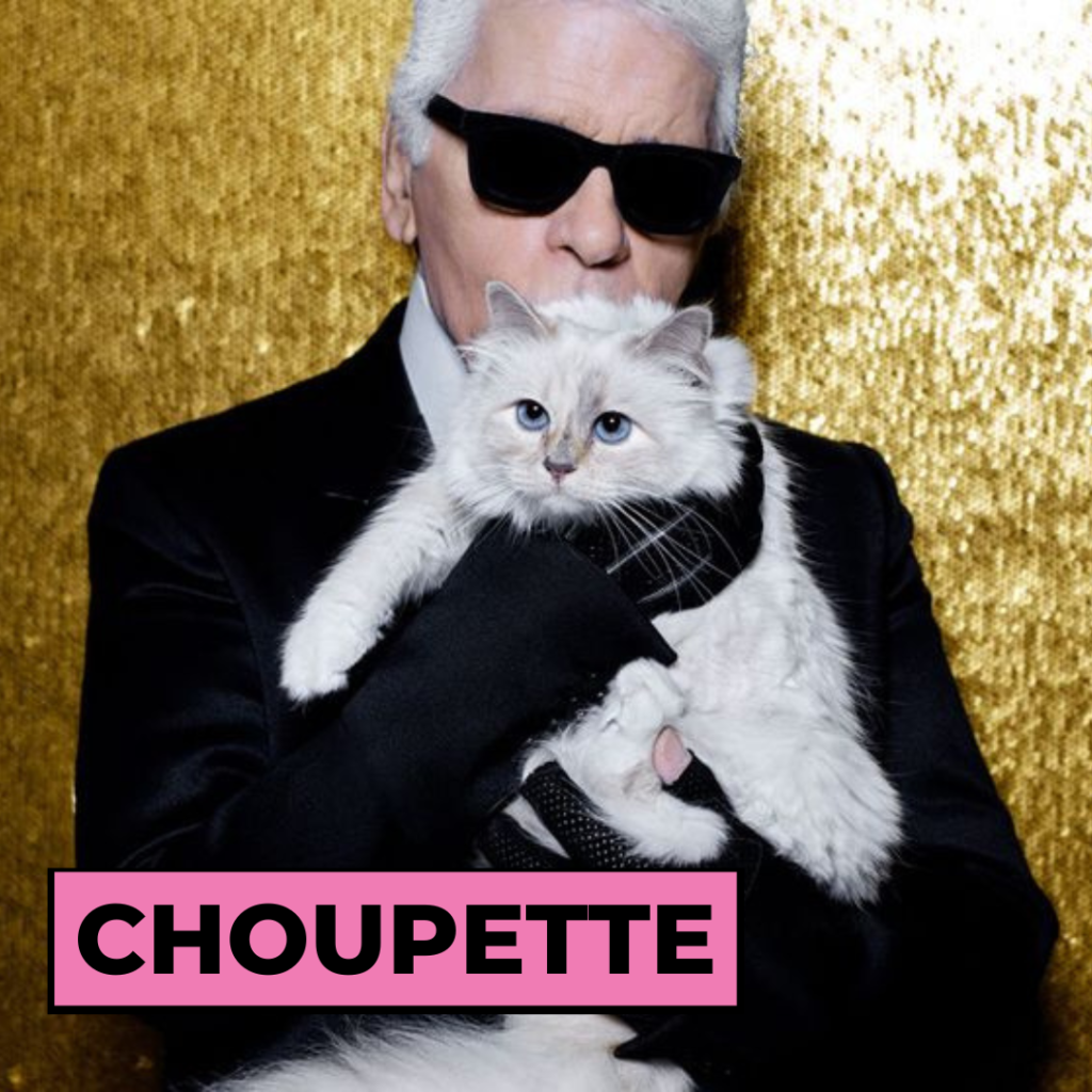 Choupette, le chat de Karl Lagerfeld 