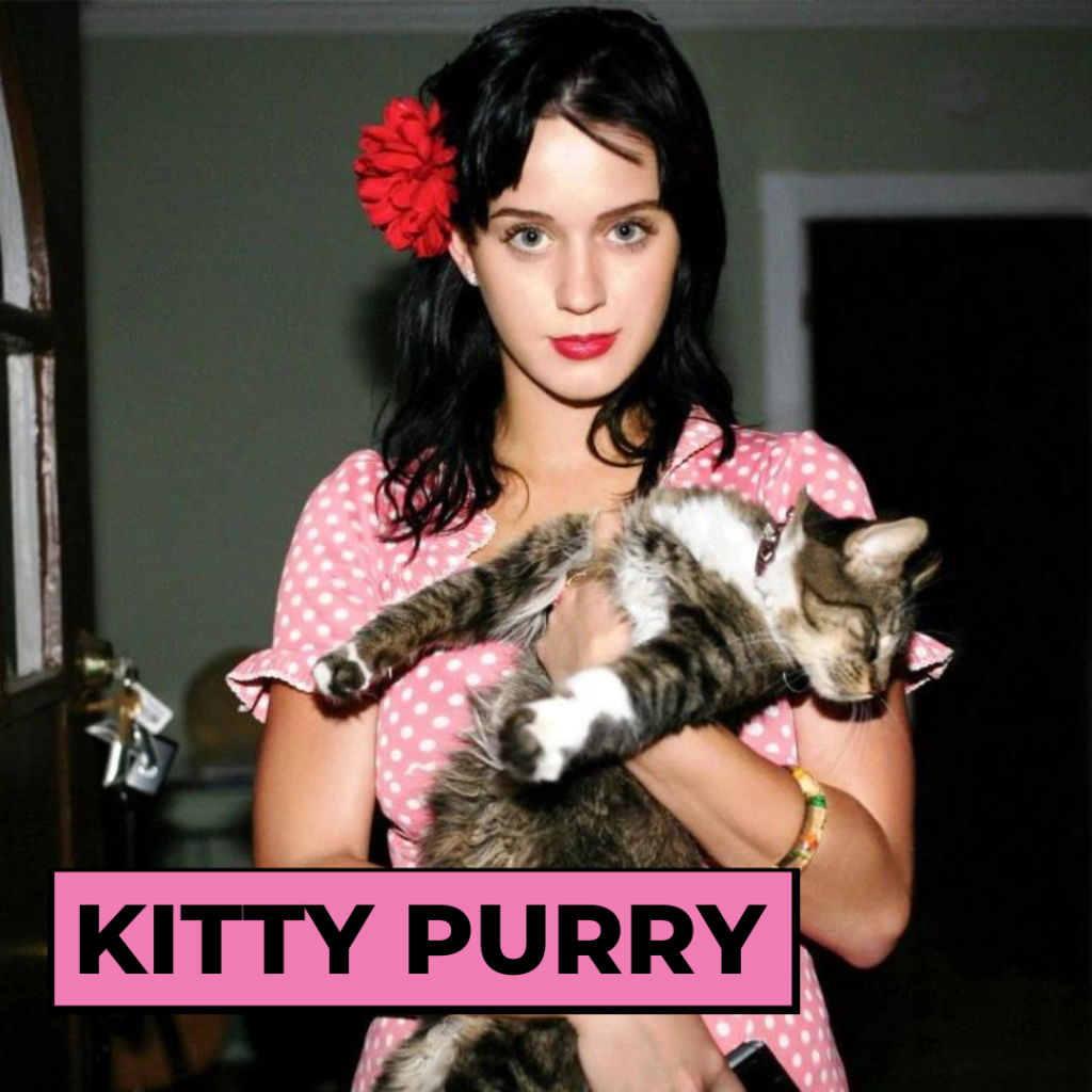 Katy Perry et son chat Kitty Purry