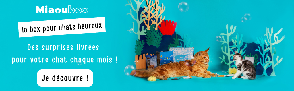 Bannière publicitaire pour Miaoubox, la box cadeau des chats heureux !