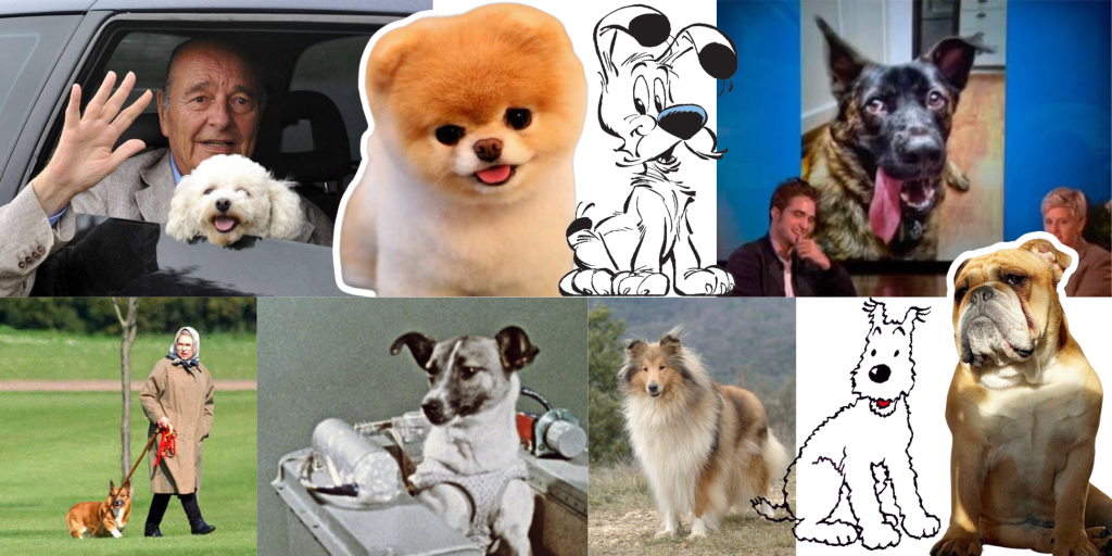Pêle mêle de photos de chiens connus : boo, idéfix, albert, sumo, lassie, milou...