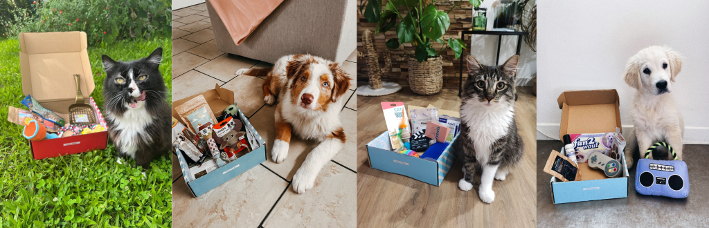 Duo de chiens et de chats à côté de leur Woufbox & Miaoubox : coffret cadeau rempli de jouets, peluches et friandises. 